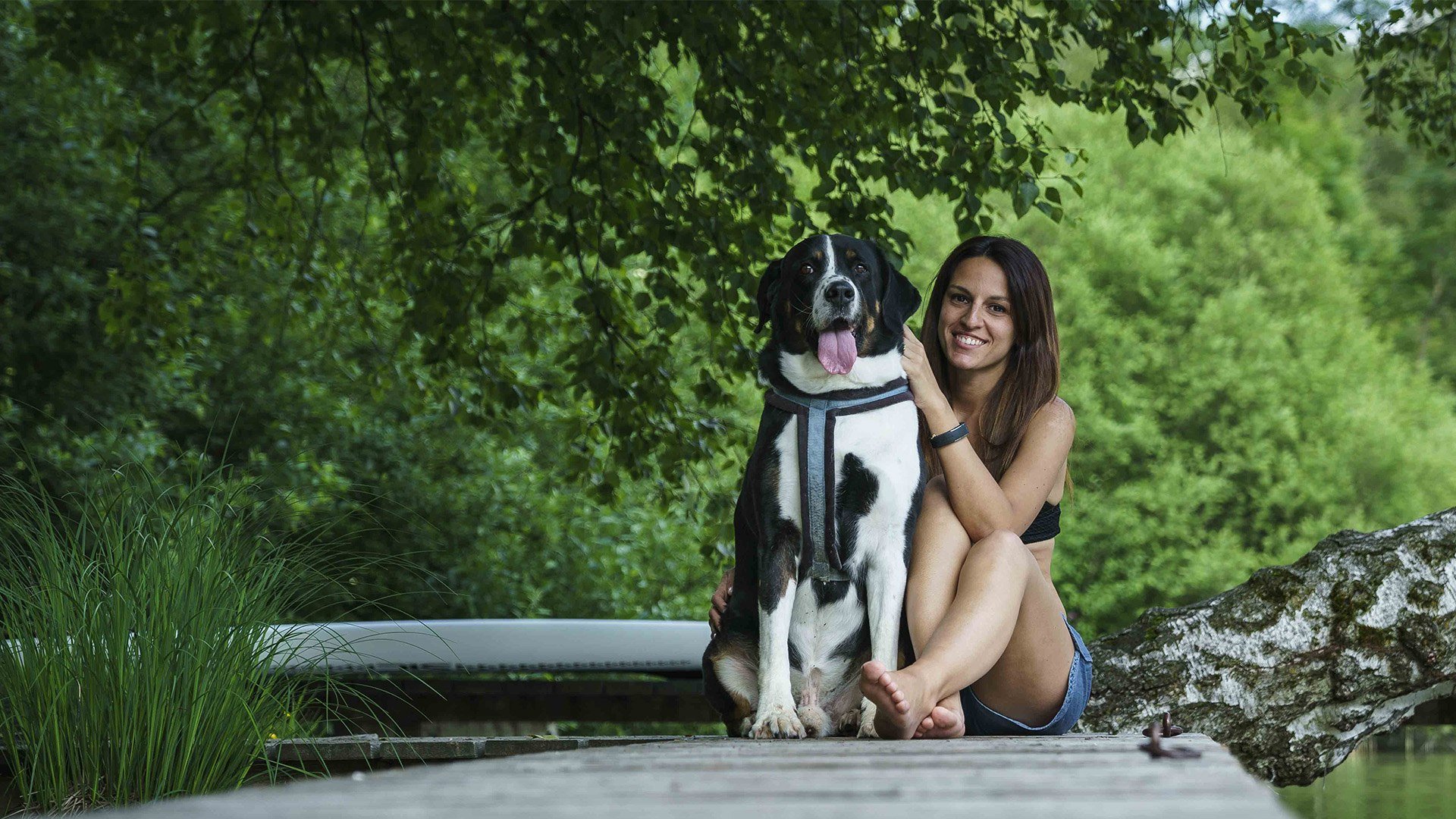 Urlaub Hund Bayern Schliersee, © Dietmar Denger