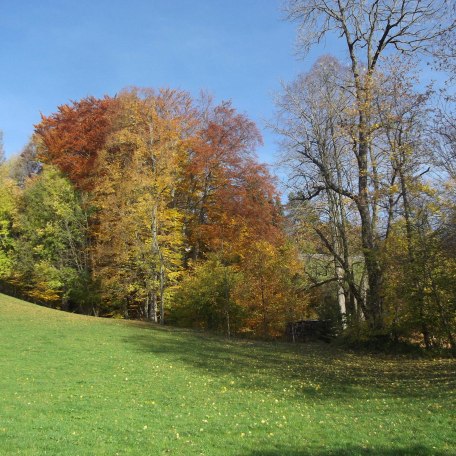 Blick von der Terrasse aus, © im-web.de/ Gäste-Information Schliersee in der vitalwelt schliersee