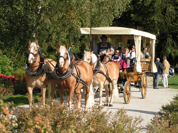 Kutschfahrten Sprenger