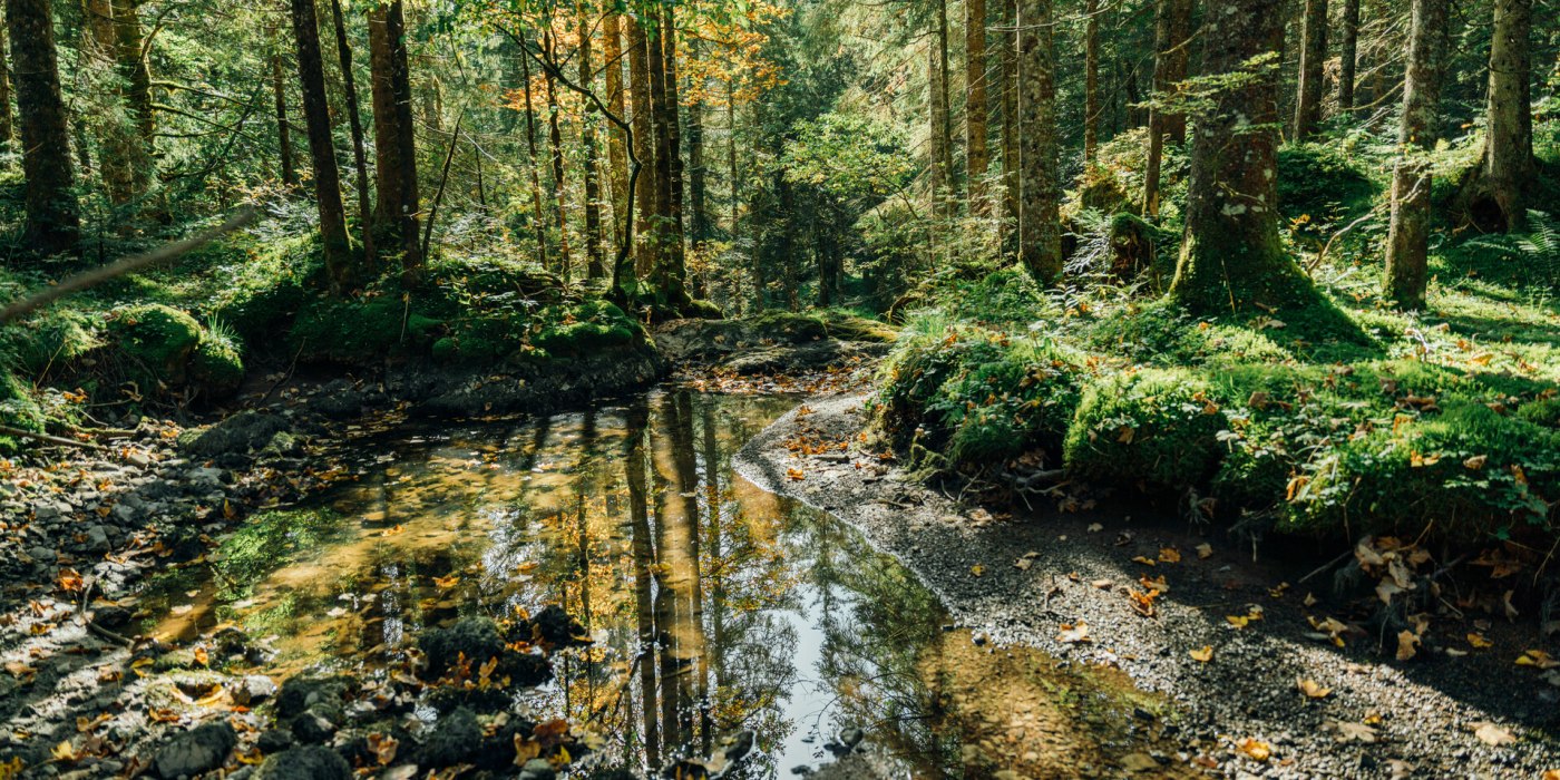 Kreuth-Heilklimawanderung, © Der Tegernsee (Julian Rohn)