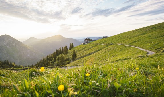 Sommerfrische, © Dietmar Denger