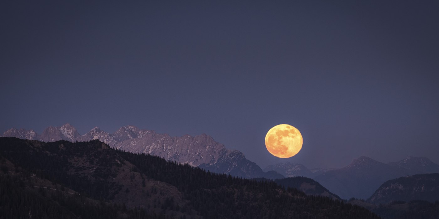 fruehling-shooting-2020-lowres_dietmar-denger-55, &copy; Dietmar Denger