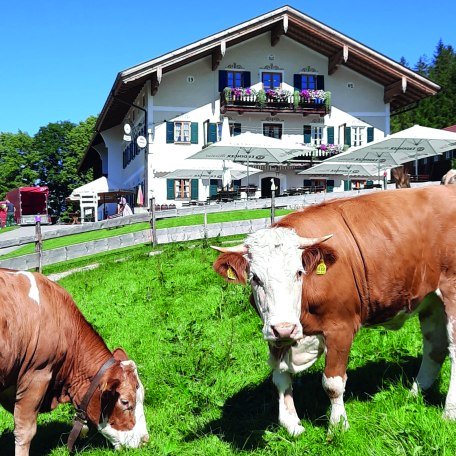 Bergcafe Siglhof EKF, © Winkler
