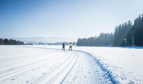 Piesenkam-Loipe, © Alpenregion Tegernsee Schliersee