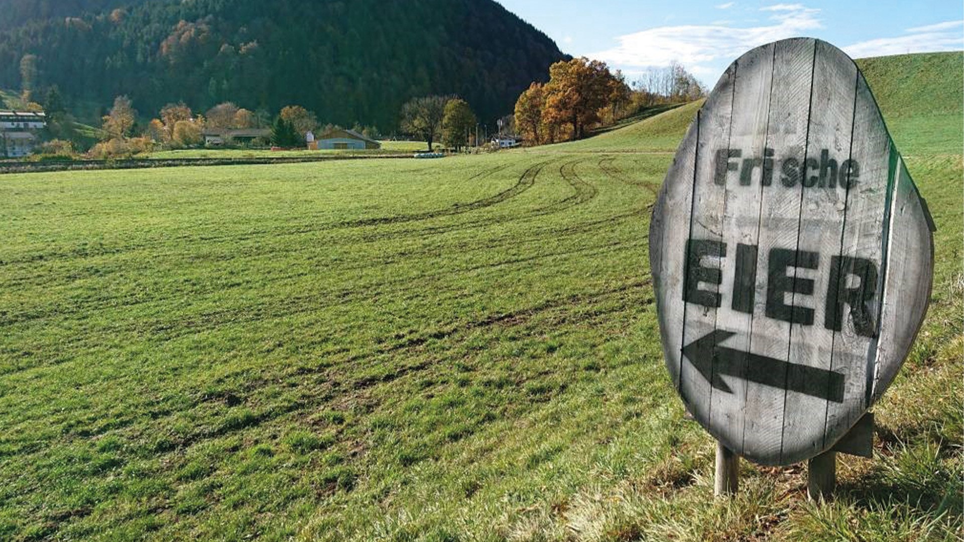 H&uuml;hnerhof Schliersee EKF