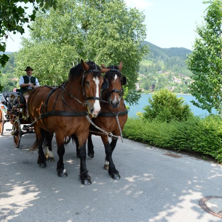 150612_fischerweber_kutsche_030 150612_fischerweber_kutsche_030