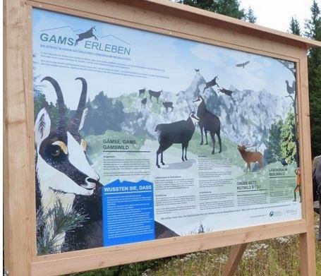 gamserleben_grubereck