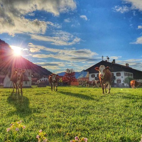 https://images.bs.ds-srv.net/objekt_pics/obj_full_28789_013.jpg, © im-web.de/ Tourist-Information Bayrischzell