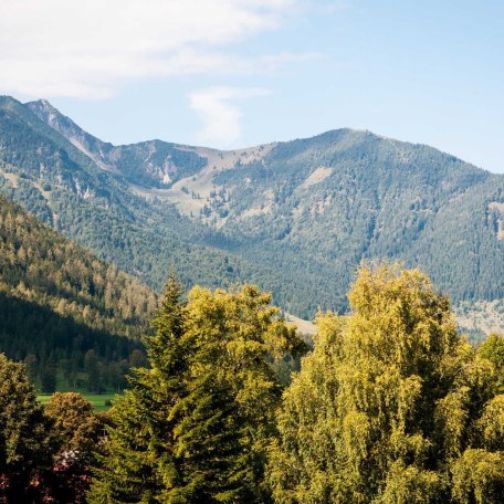 Aussicht auf die Berge, © im-web.de/ Tourist-Information Bayrischzell