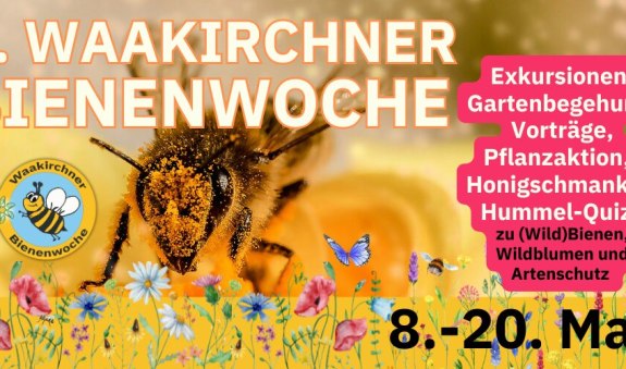 4. Waakirchner Bienenwoche (1)