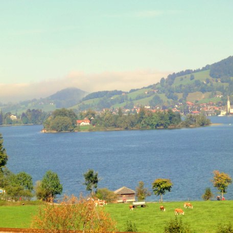 https://d1pgrp37iul3tg.cloudfront.net/objekt_pics/obj_full_28546_003.jpg, © im-web.de/ Gäste-Information Schliersee in der vitalwelt schliersee