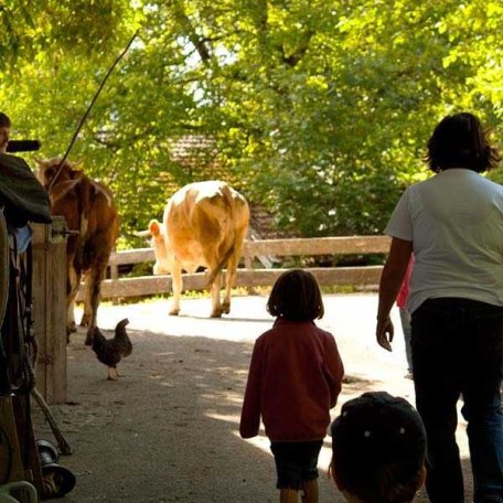 Gästekinder beim Kühe treiben, © im-web.de/ Gäste-Information Schliersee in der vitalwelt schliersee