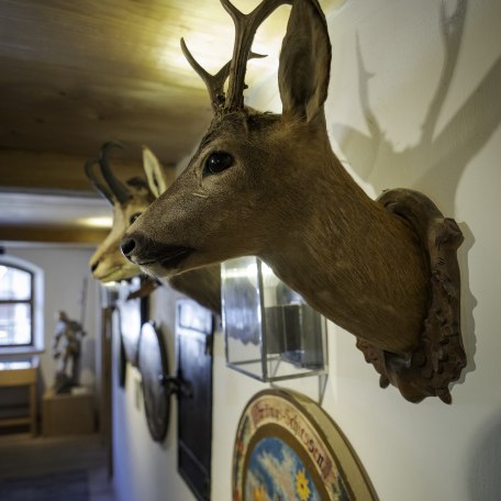 Trophäe, © Dietmar Denger Trophäe, © Dietmar Denger