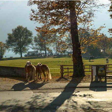 Ausblick Wohnraum auf den Schliersee, © im-web.de/ Gäste-Information Schliersee in der vitalwelt schliersee