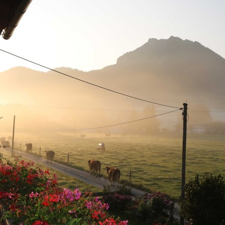Ausblick, © im-web.de/ Touristinformation Fischbachau