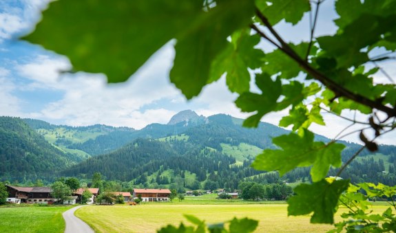 Blick auf den Wendelstein, © Alpenregion Tegernsee Schliersee
