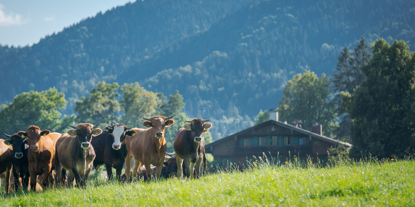 Holz_Wanderung &copy; Der Tegernsee_Dietmar Denger (3), &copy; Dietmar Denger