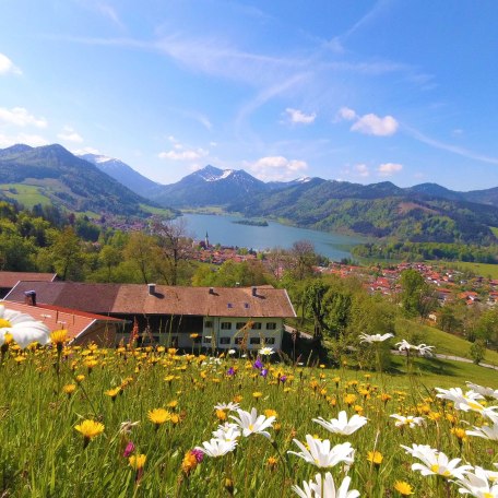 Hofbild, © im-web.de/ Gäste-Information Schliersee in der vitalwelt schliersee