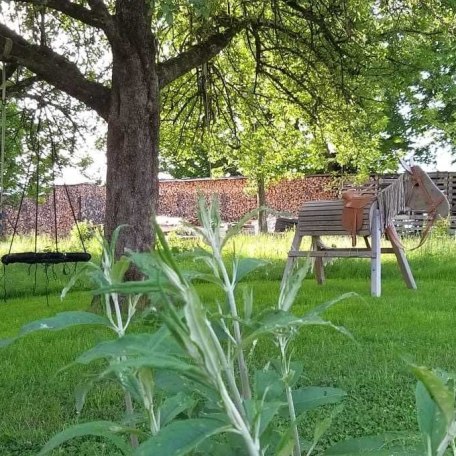 Garten, &copy; im-web.de/ Touristinformation Fischbachau