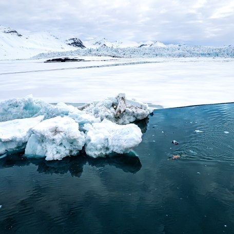 copyright JACKSCORNER1 copyright JACKSCORNER1