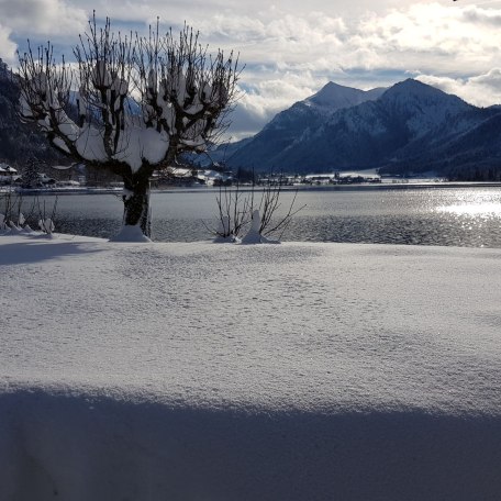 Wunderbarer Ausblick auf See und Berge, © im-web.de/ Gäste-Information Schliersee in der vitalwelt schliersee