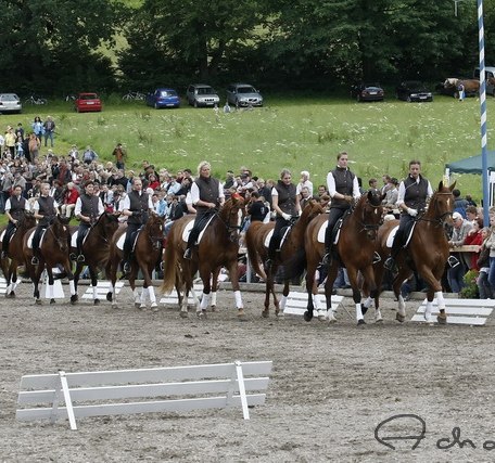Reitquadrille