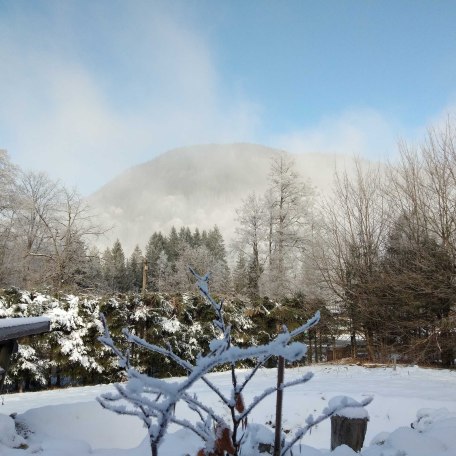 Ausblick, © im-web.de/ Gäste-Information Schliersee in der vitalwelt schliersee