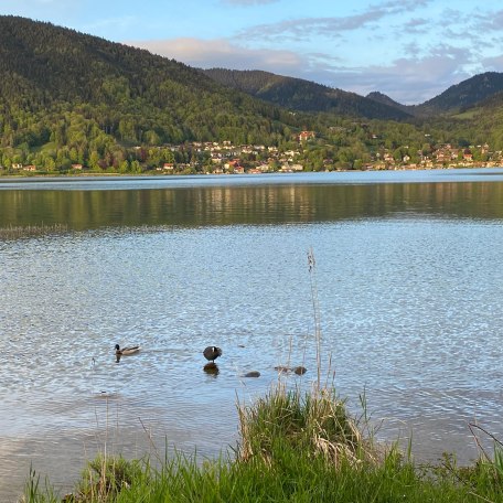 https://images.bs.ds-srv.net/objekt_pics/obj_full_82669_010.jpg, © im-web.de/ Tourist-Information Bad Wiessee