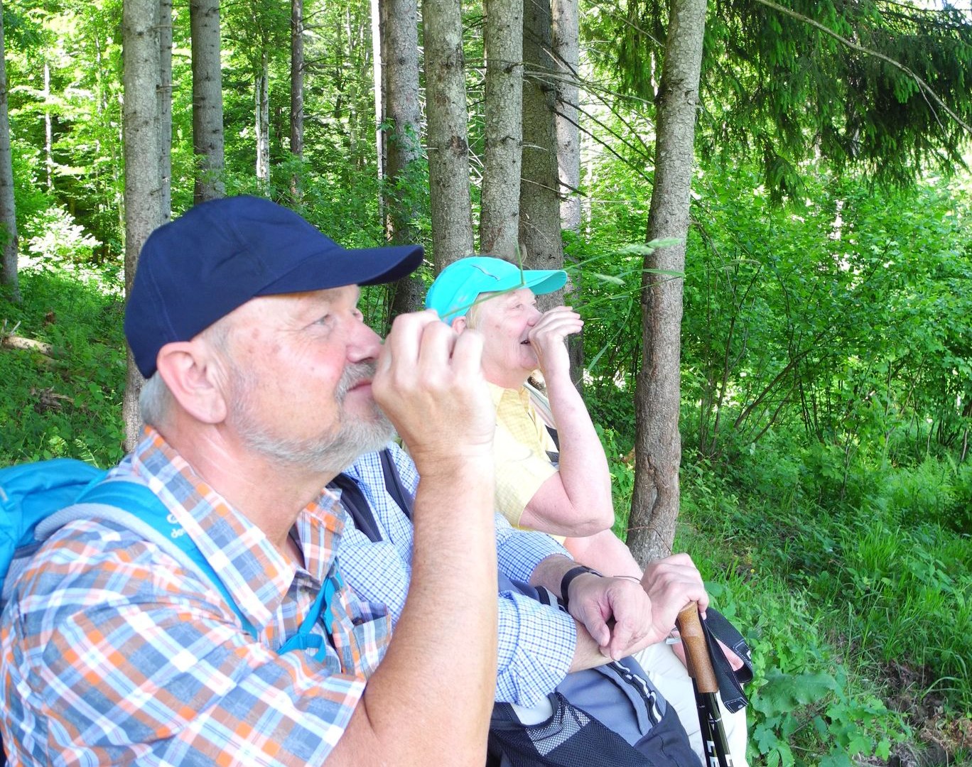 Wasserfallrunde2 &Uuml;bung, &copy; Sabine Nagl