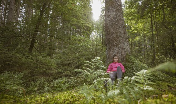 Gesundheit_Waldbaden, © Der Tegernsee (Hansi Heckmair)
