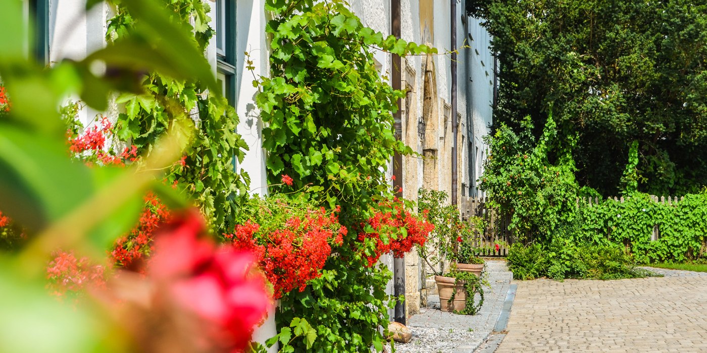 weyarn_kloster_sommer_fl_2016