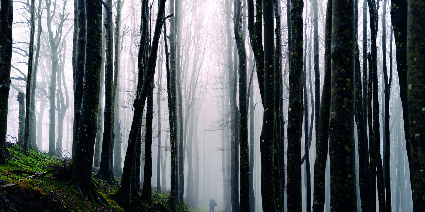 20260329_HochUndHeilig_CMYK