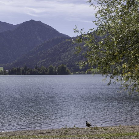 Ausblick am See, © im-web.de/ Gäste-Information Schliersee in der vitalwelt schliersee