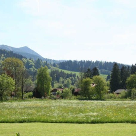 Ausblick vom Haus auf die Berge, © Wiefarn Apartments