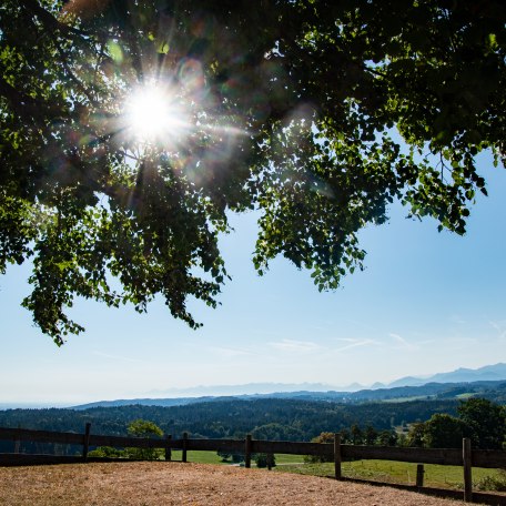 weyarn_lindl_fl-9 weyarn_lindl_fl-9