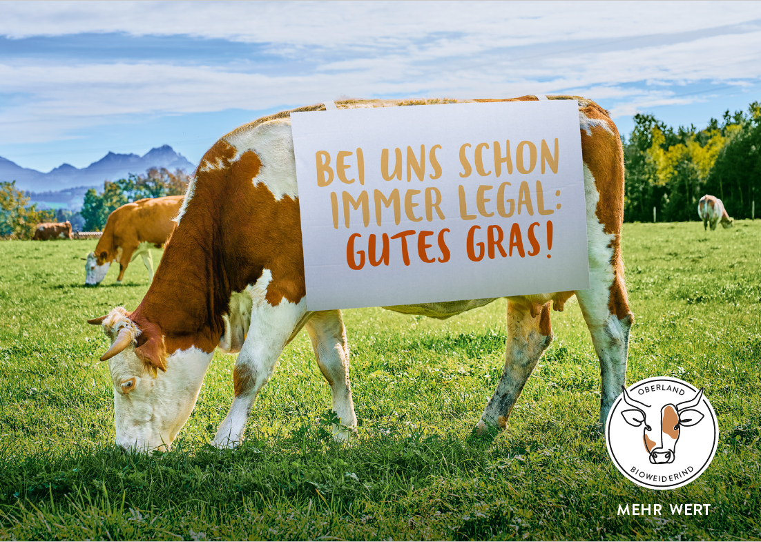 Oberland Bioweiderind EKF