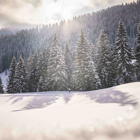 Winterstimmung Oberbayern, © Dietmar Denger