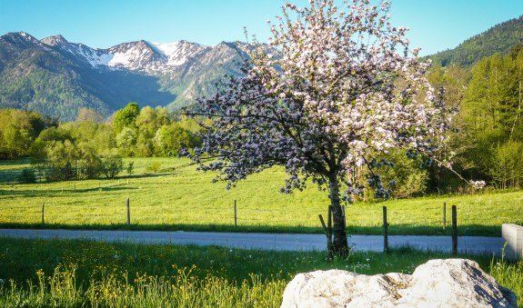 Von Aurach auf den Jägerkamp, © Alpenregion Tegernsee Schliersee