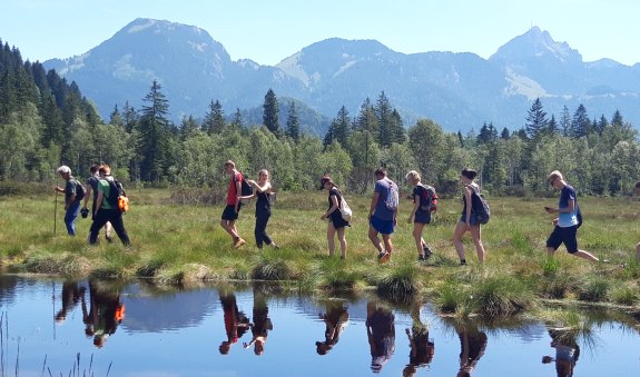 molche-schlangen-moorwanderung_1 molche-schlangen-moorwanderung_1
