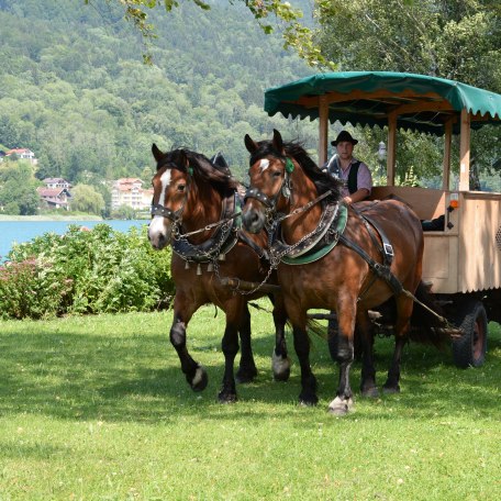 150711_fischerweber_alpin_080 150711_fischerweber_alpin_080