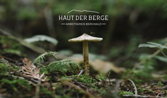 Haut der Berge 15.06, © Susanne Heim