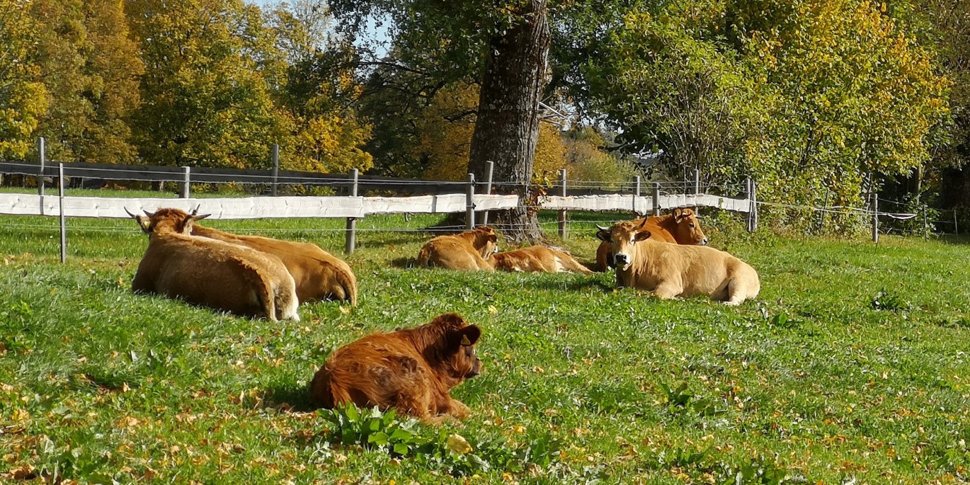 Hufnaglhof Ritter EKF Hufnaglhof Ritter EKF