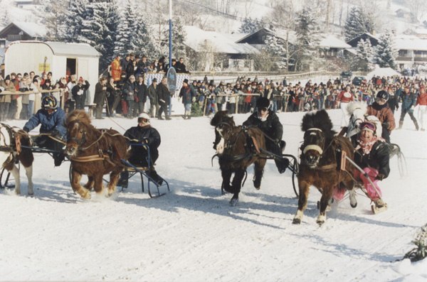 pony1_1, &copy; Rennverein Parsberg