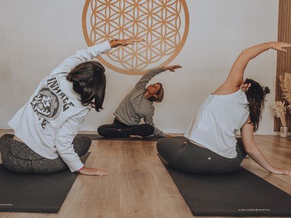 Vinyasa Vinyasa