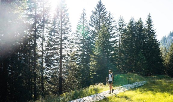 Wendelstein Streifzüge - Meditationsbergweg, © Alpenregion Tegernsee Schliersee