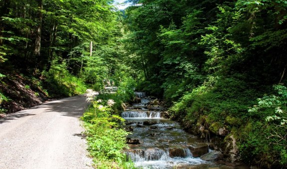 aktiv-alpbachtal-tegernsee, &copy; TTT
