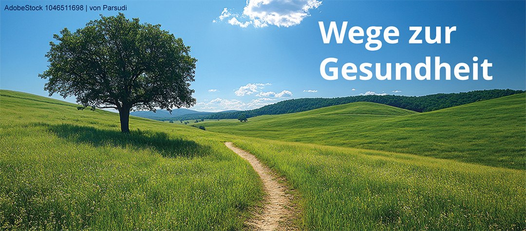 12_Weg_Himmel_Baum 12_Weg_Himmel_Baum