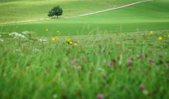Holzkirchen, &copy; Alpenregion Tegernsee Schliersee