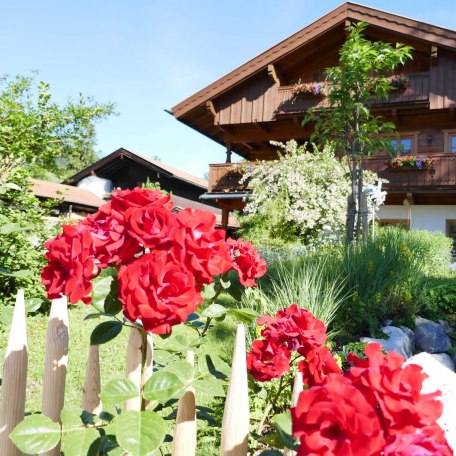 Gästehaus Ankelspitz im Sommer: Nicht nur unsere Gäste, auch Blumen und Bienen fühlen sich bei uns wohl., © im-web.de/ Gäste-Information Schliersee in der vitalwelt schliersee