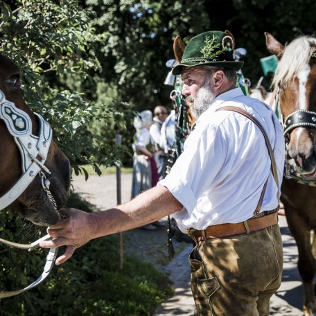 checkmair-8032 checkmair-8032